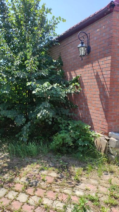 Продам пол дома статус квартиры в Новой Водолаге