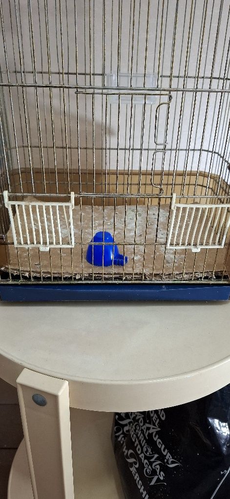 Vendo gaiola para pássaros