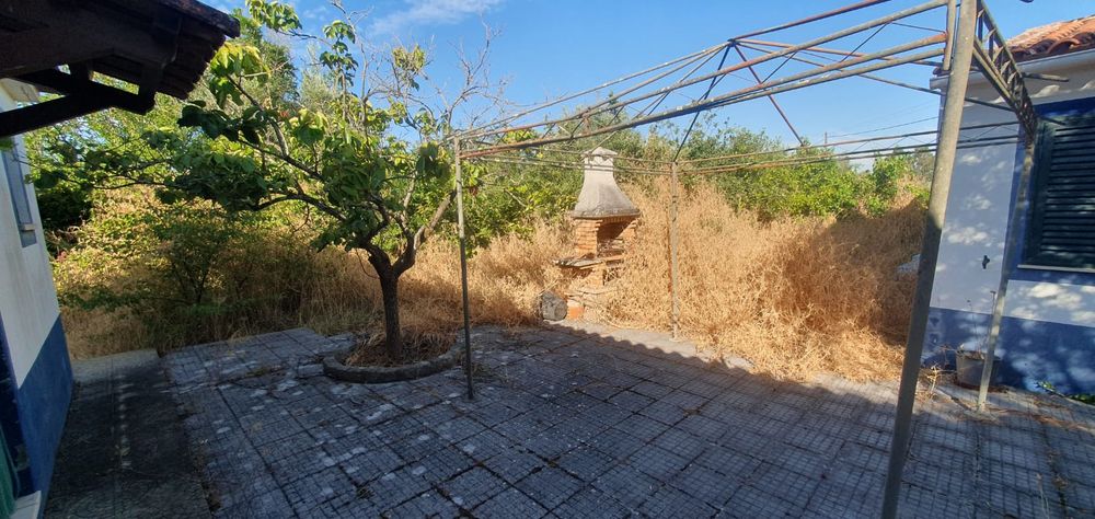 Limpeza de lotes e terrenos