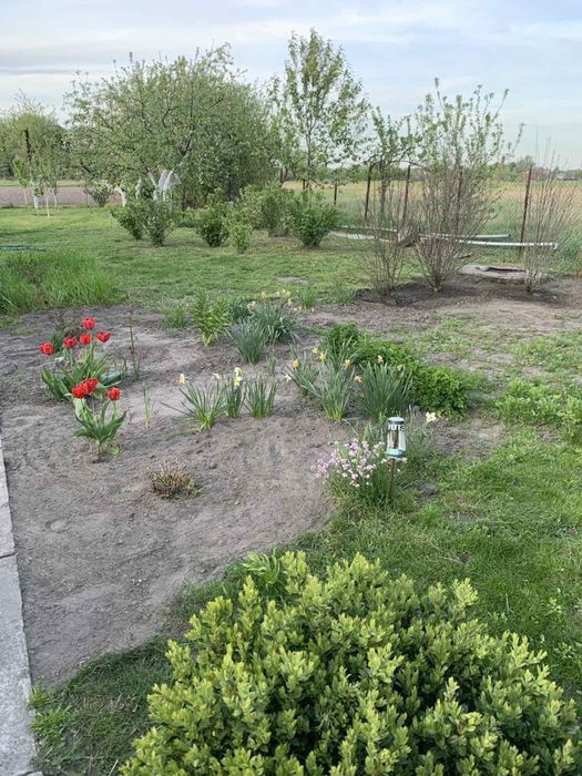 Продаж будинку село Кочерів Житомирської області