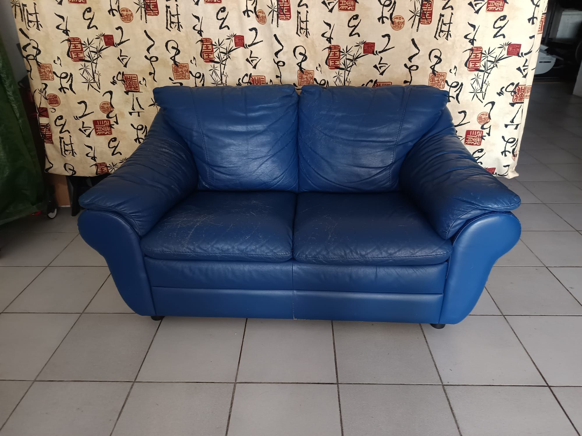 Sofá em pele, 2 lugares