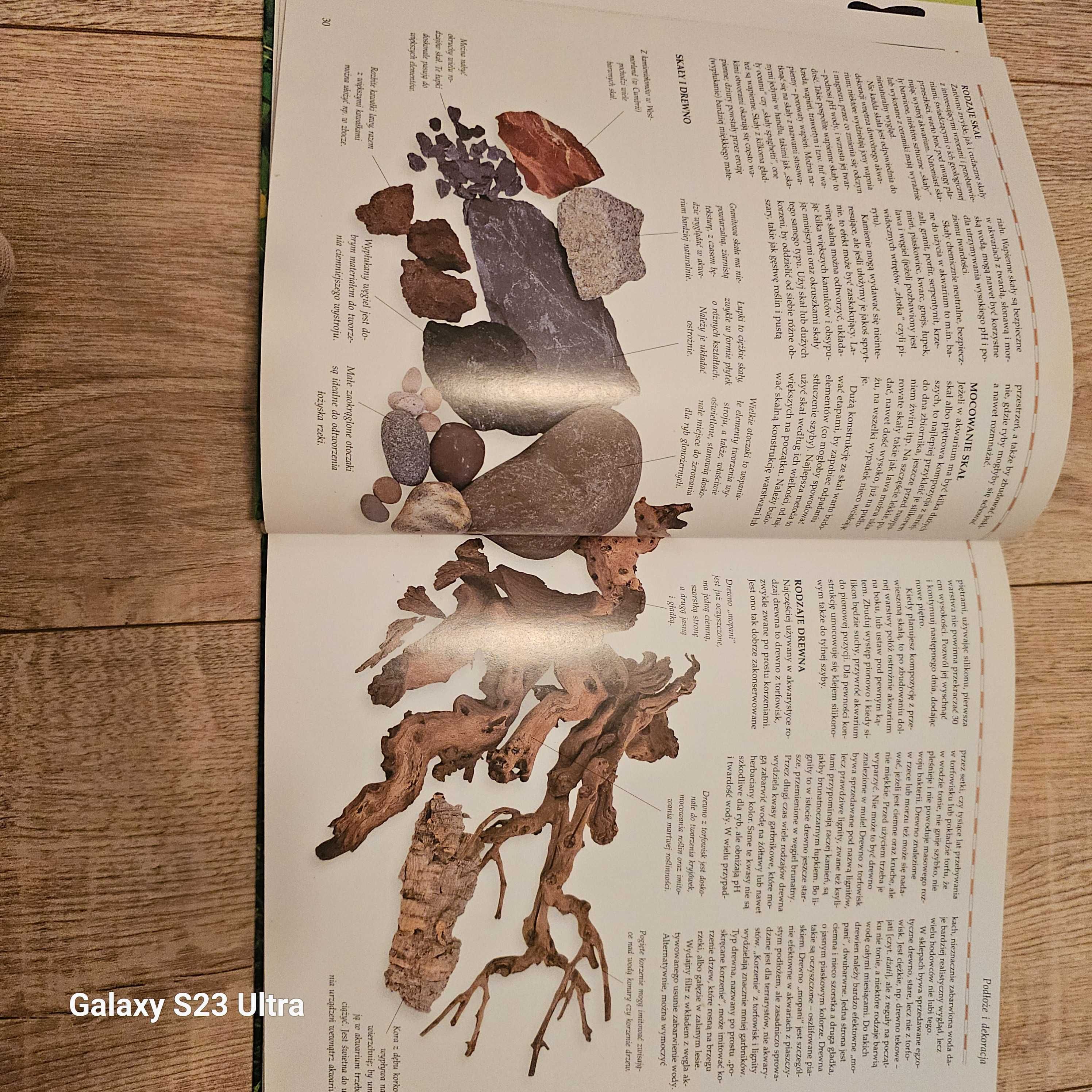 Akwarium inspirowane naturą. Peter Hiscock