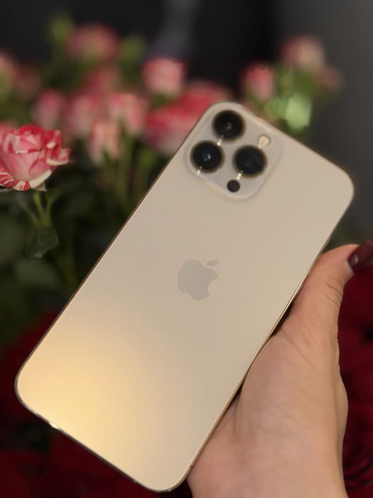 iPhone 13 Pro Max 256GB