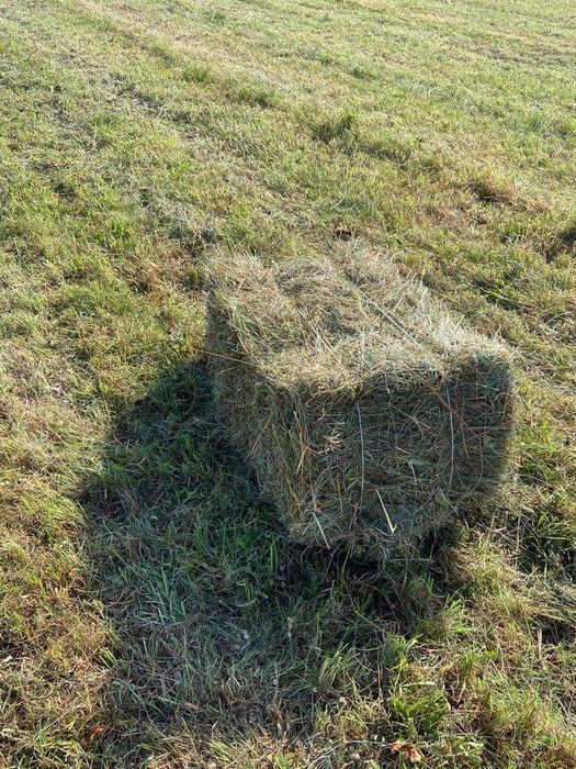 Sprzedam siano w kostkach
