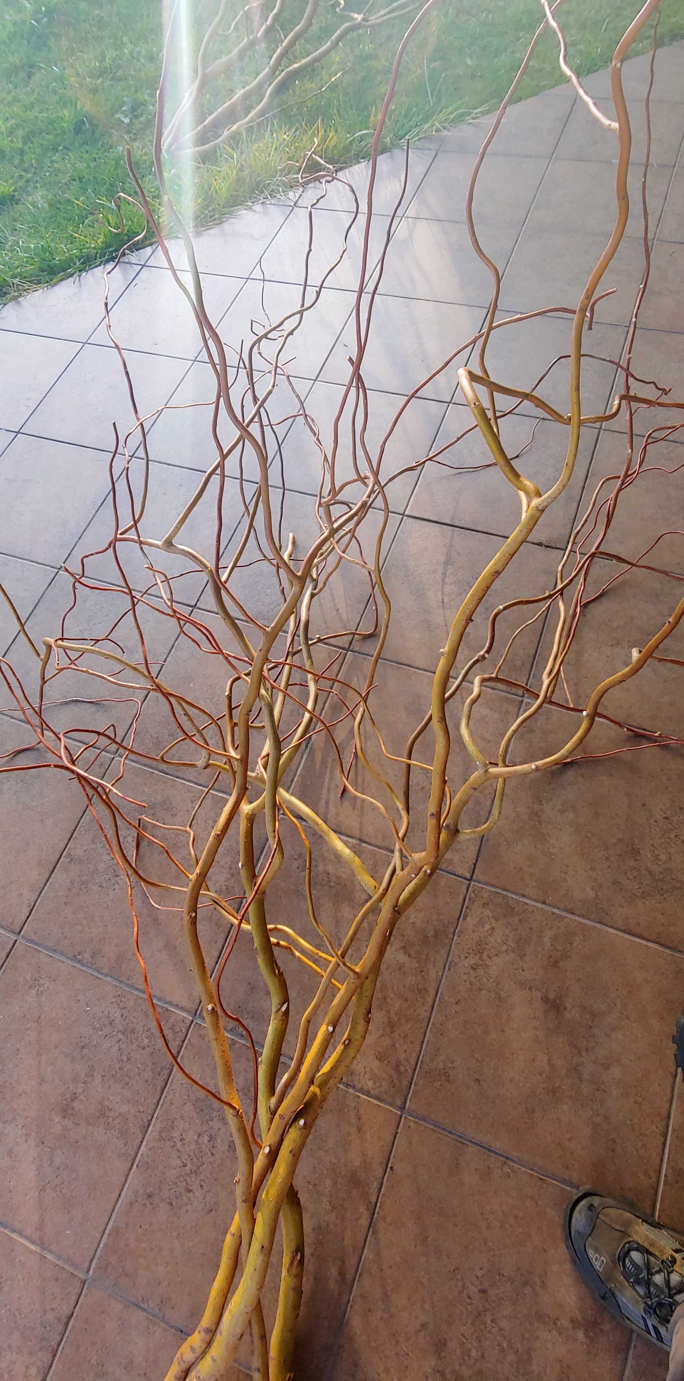 Gałęzie wierzby mandżurskiej do dekoracji - 1 komplet
