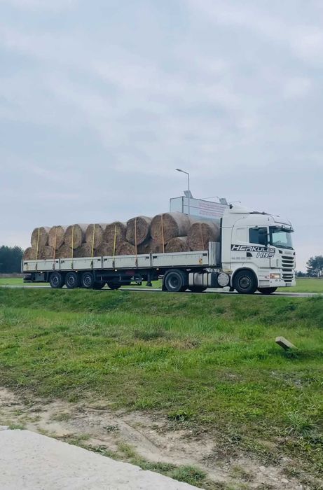 Spedycja, Usługi transportowe, transport, usługi spedycyjne, hds