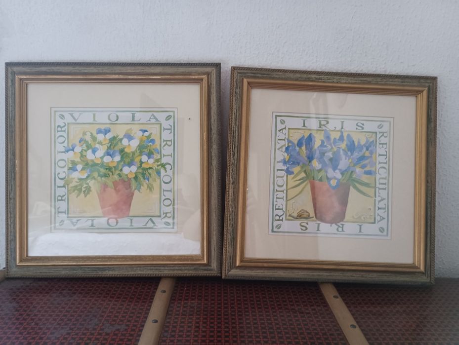 Dois quadros 40*40