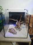 Aquario cubo.