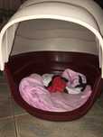 Vendo casota em bom estado