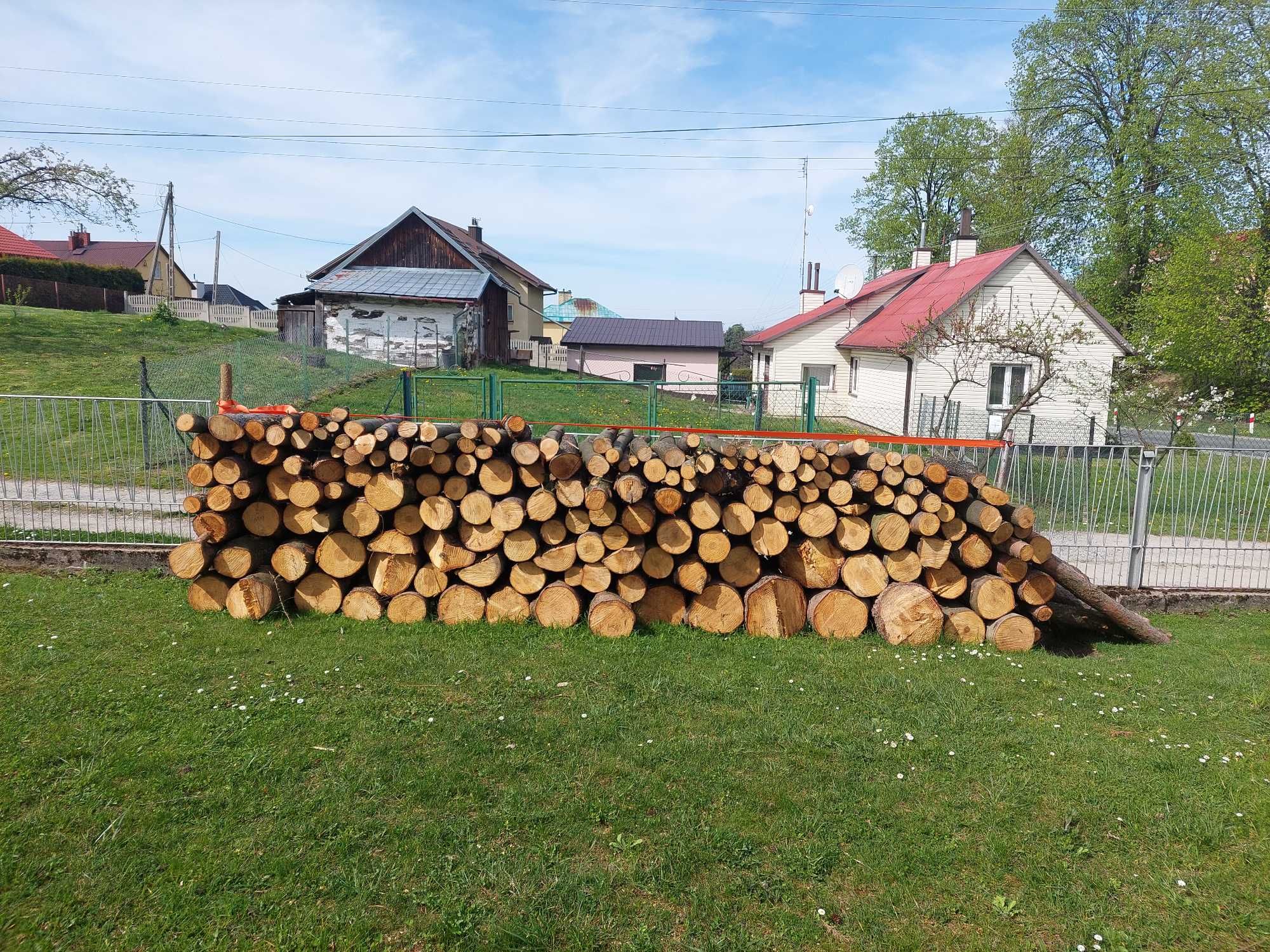 Drzewo przeznaczone na opał