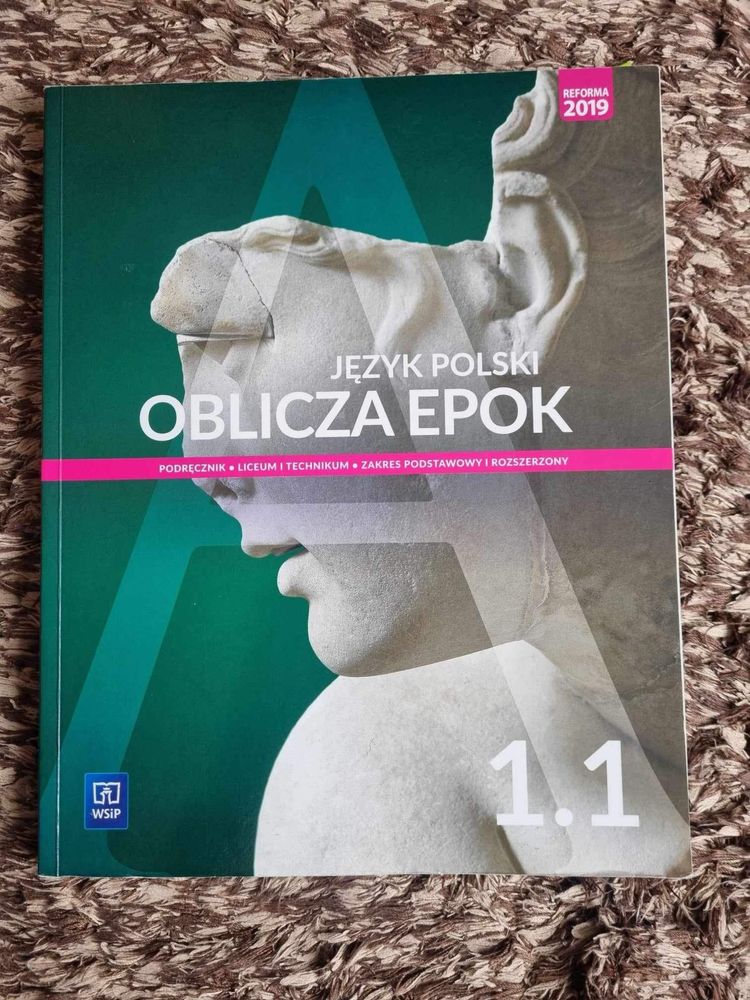 Oblicza epok jezyk polski 1.1