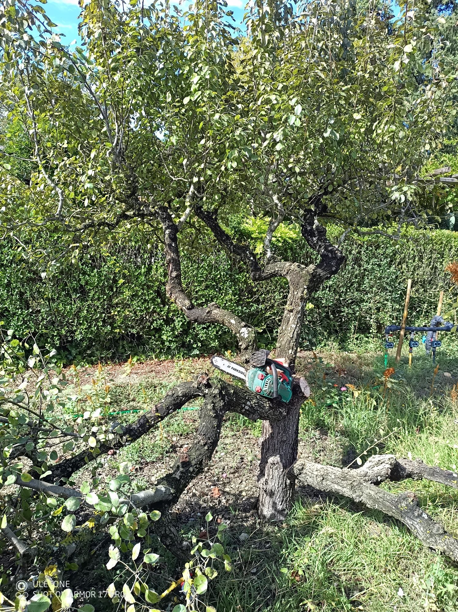 Jardineiro Ferreiragarden