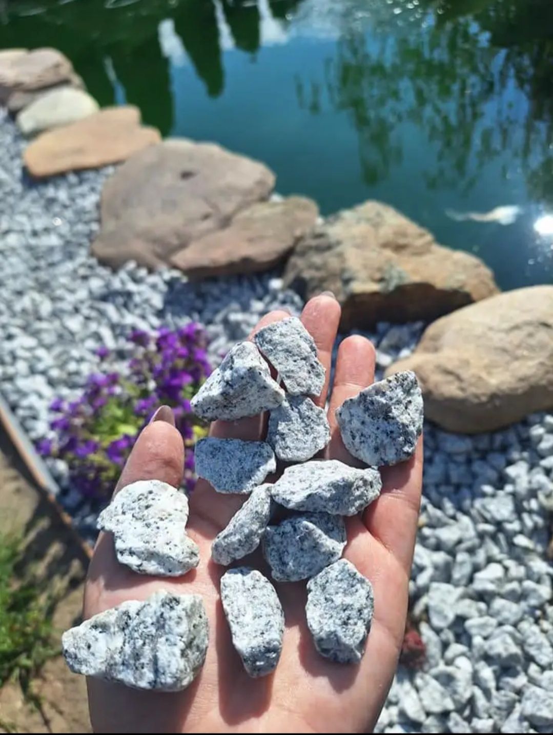 ‼️ dalmatyńczyk kamień ogrodowy grys granitowy