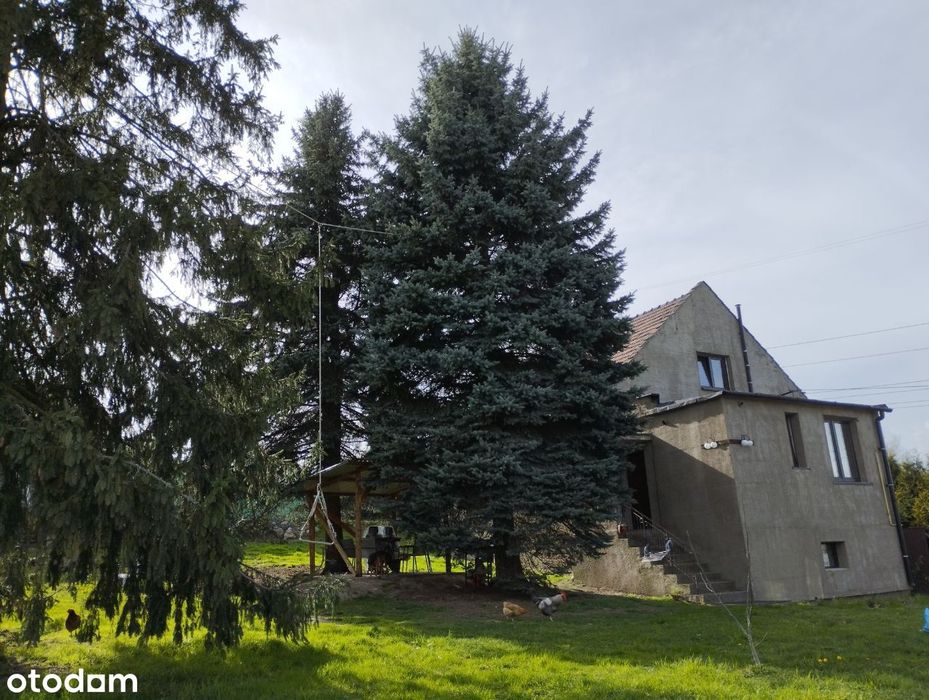 DOM Z DWOMA MIESZKANIAMI , działka 10 ar, garaż, pomieszczenia
