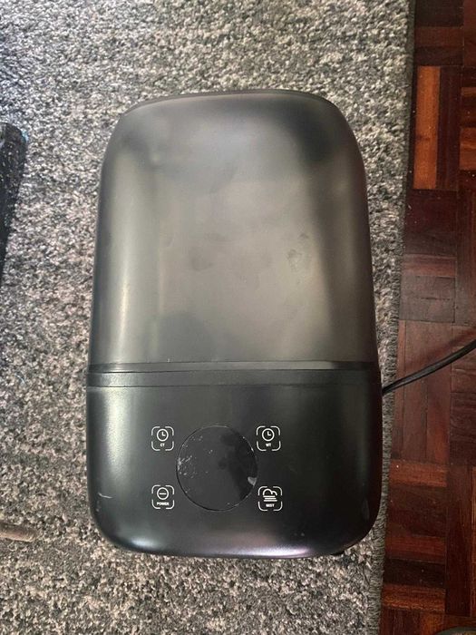 Terrário (Terrario para réptil como camaleão)