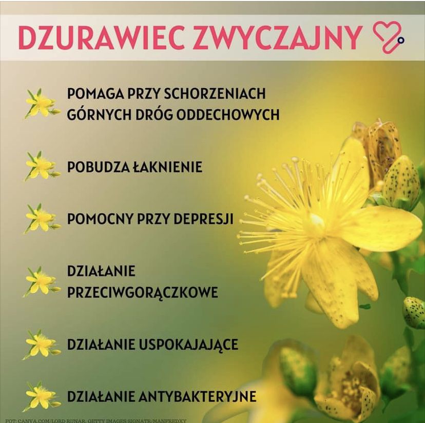 Olej z dziurawca -Oliwia świętojańska 100 ml