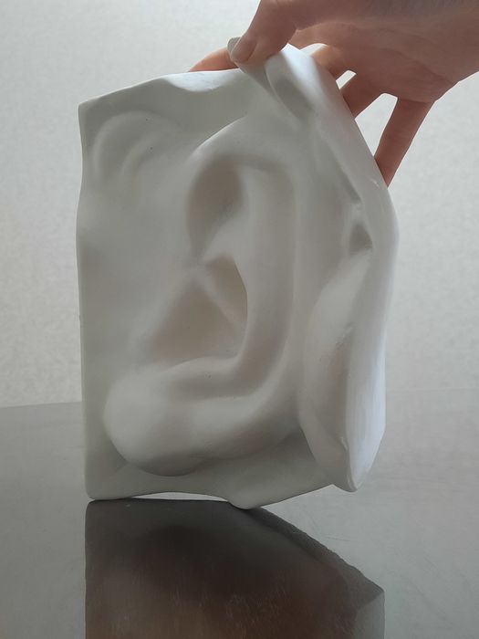 Частини обличчя Давида