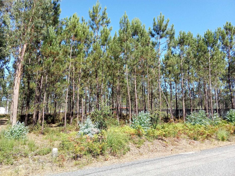 Vendo lote de terreno industrial.