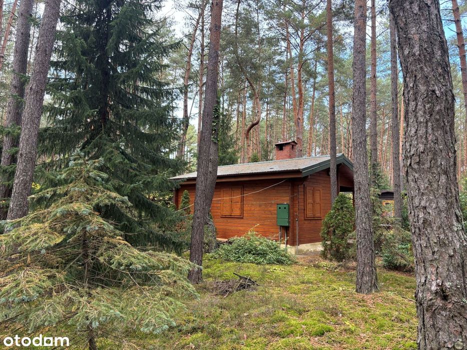 Drewniany domek w lesie - Kupujący nie płaci prowizji