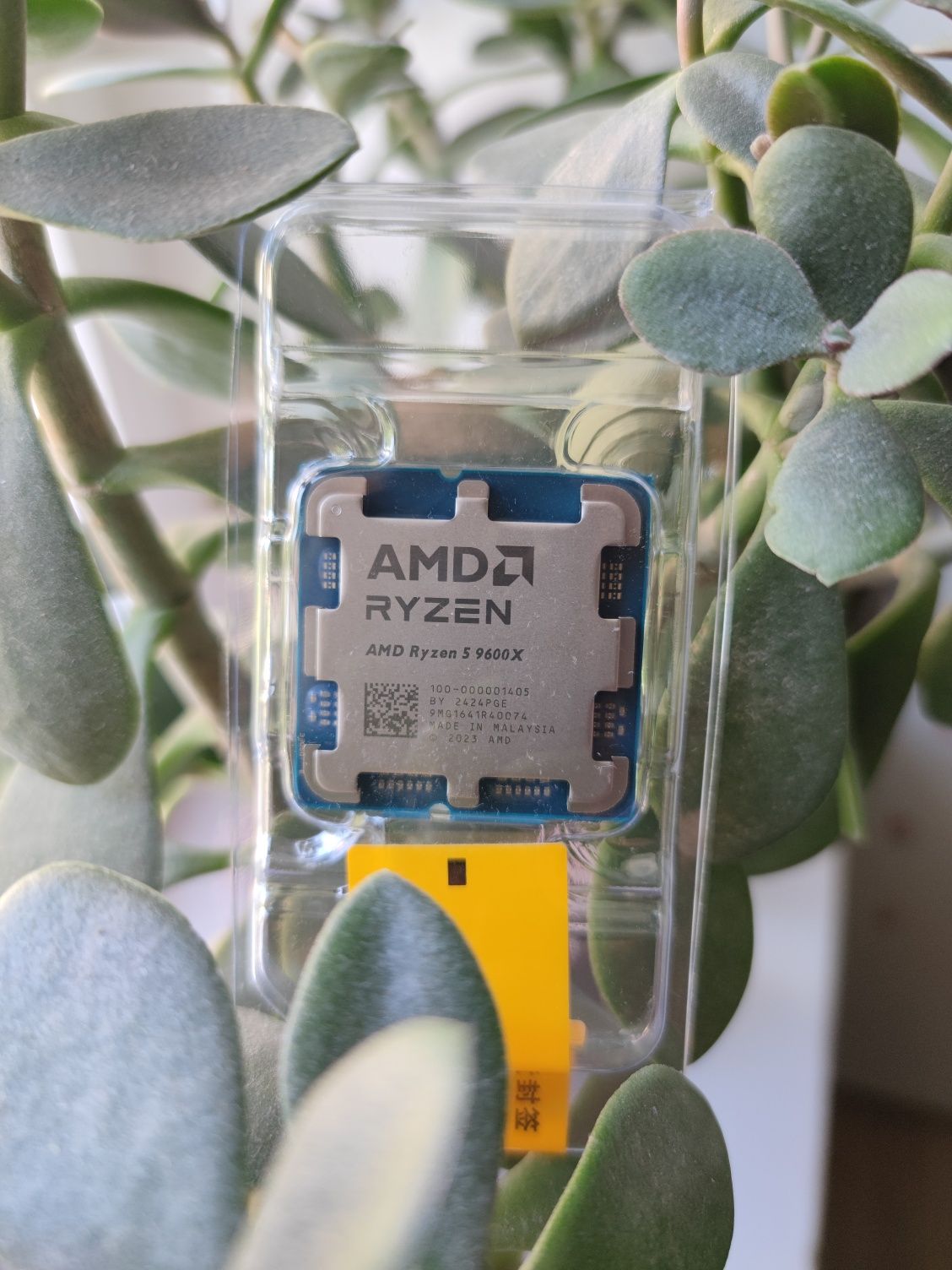 AMD Ryzen 5 9600X Новий