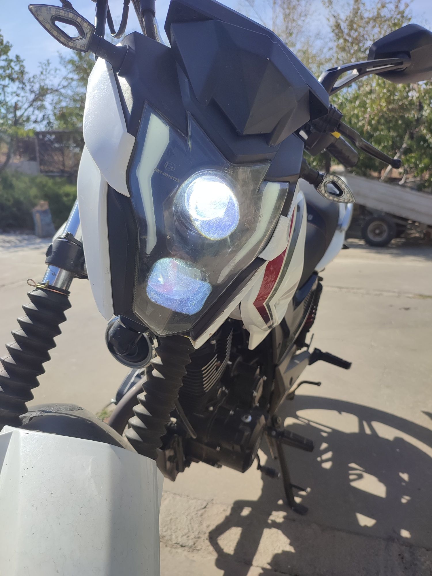 Musstang Region MT200