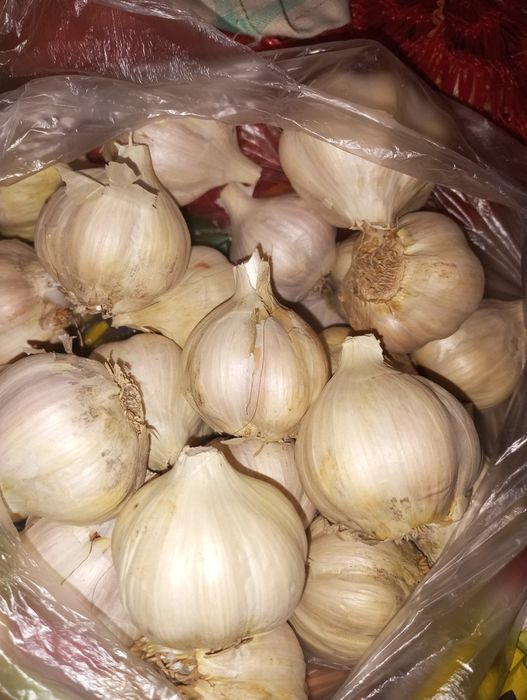 Мариновані сливи.  Мариновані опеньки