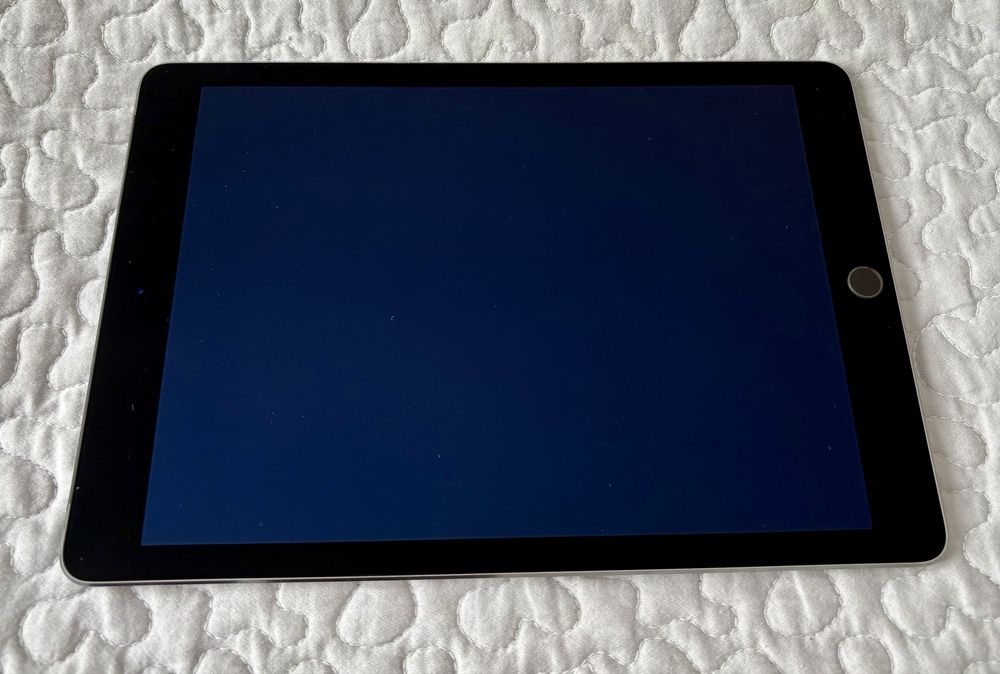 Apple iPad Air 2 64 GB – Wi-Fi + LTE (A1567) – Sprawny, z ładowarką