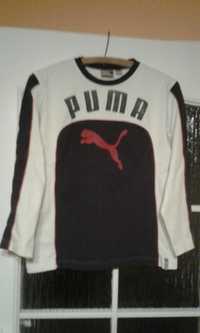 Bluza puma dla chłopca