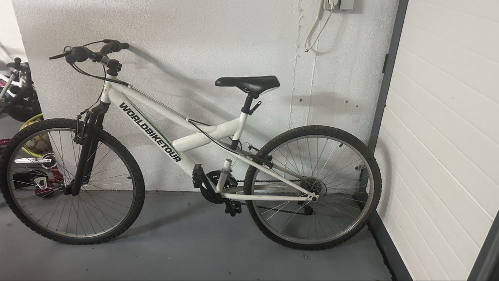 Bicicleta adulto