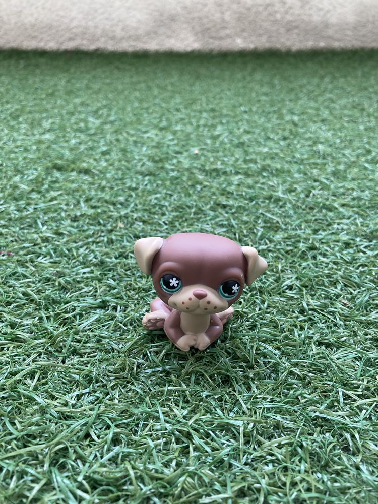 Littlest Pet Shop (LPS) piesek mops unikat