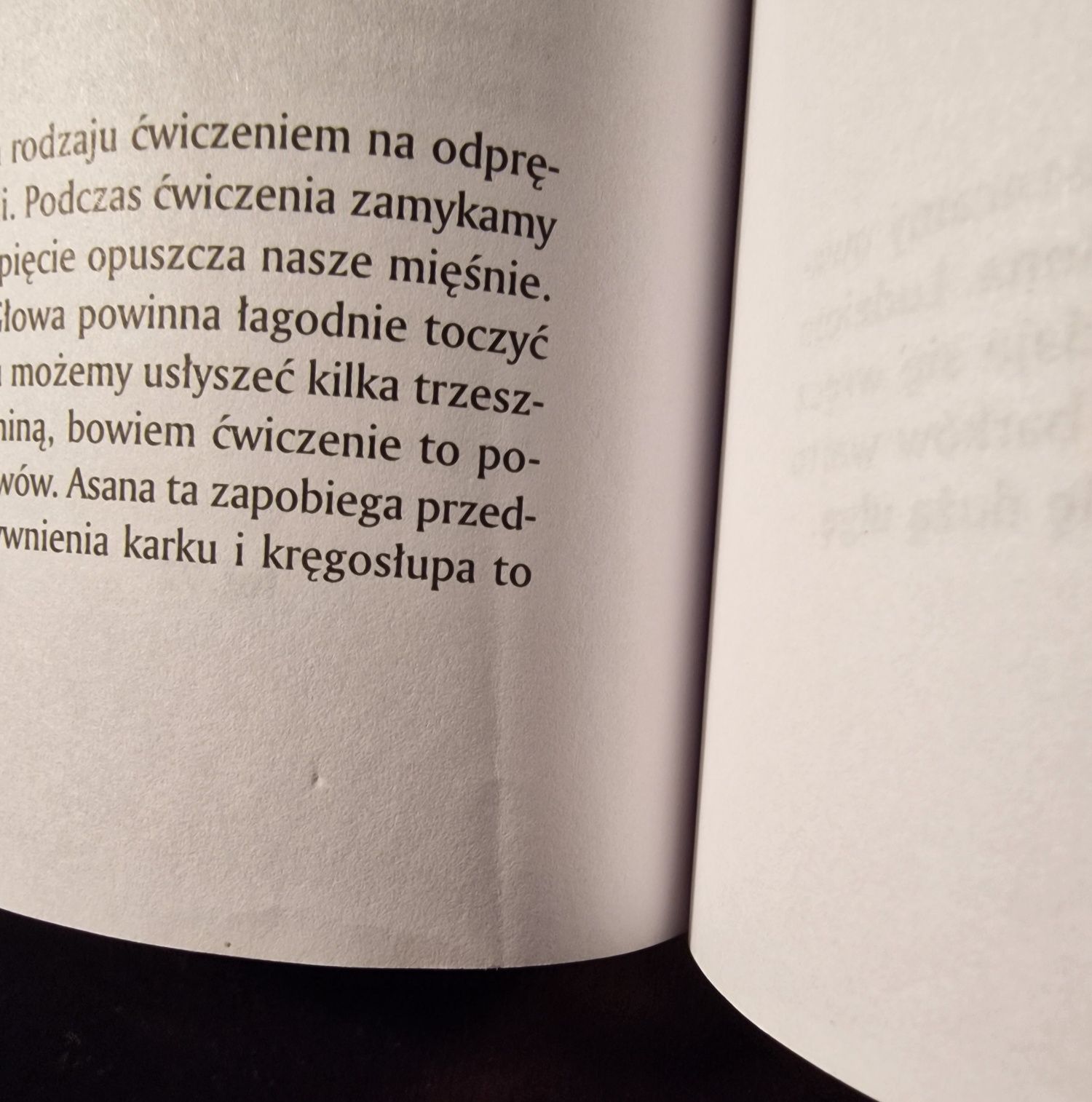 Książka Joga dla każdego (Kareen Zebroff)
