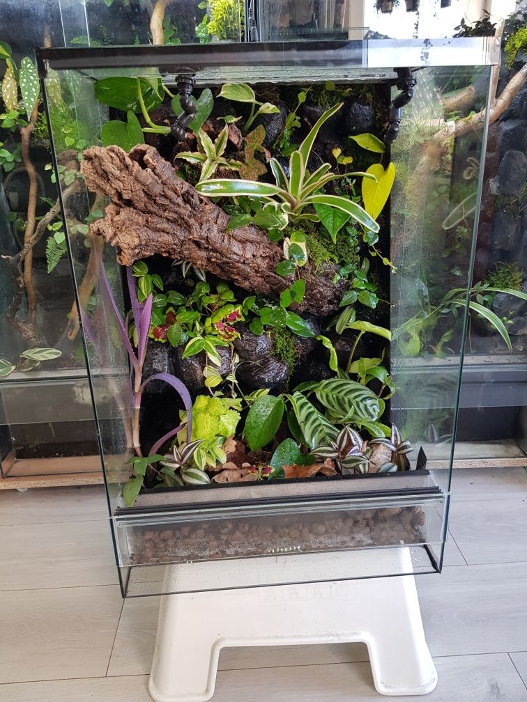 Terrarium 40x40x60 gekon