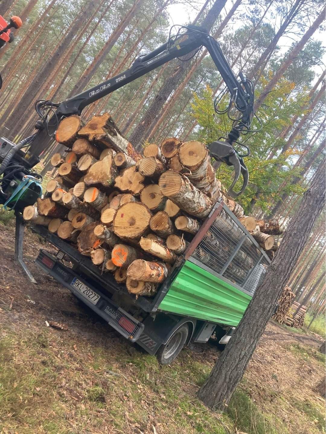 Drewno opałowe kominkowe drzewo, Kolbuszowa Mielec Sokołów Sedziszów