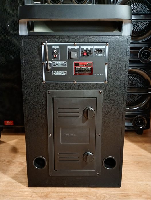 Караоке акустика Temeisheng-10(блютуз, microSD, USB,FM) ПультДУ, 2микр