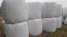 Sianokiszonka kiszonka z lucerny i traw baloty 120x120