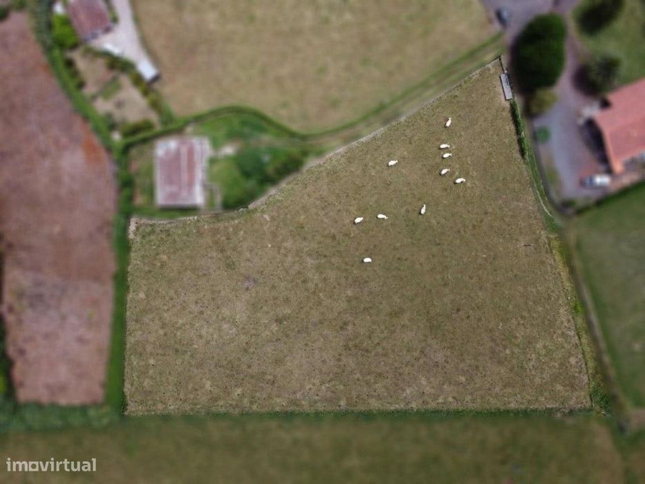 Terreno em Covões, São Pedro, Vila do Porto - Santa Maria