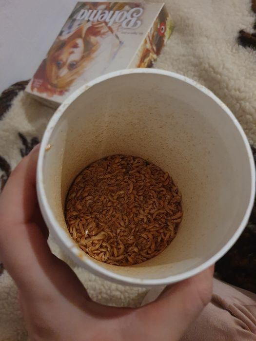 Pokarm dla żółwi wodno lądowego kryl