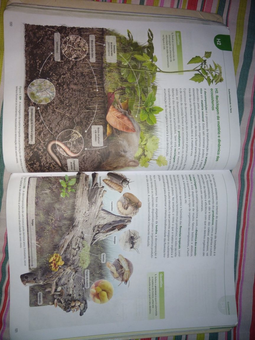 Livro ciências naturais 8°ano