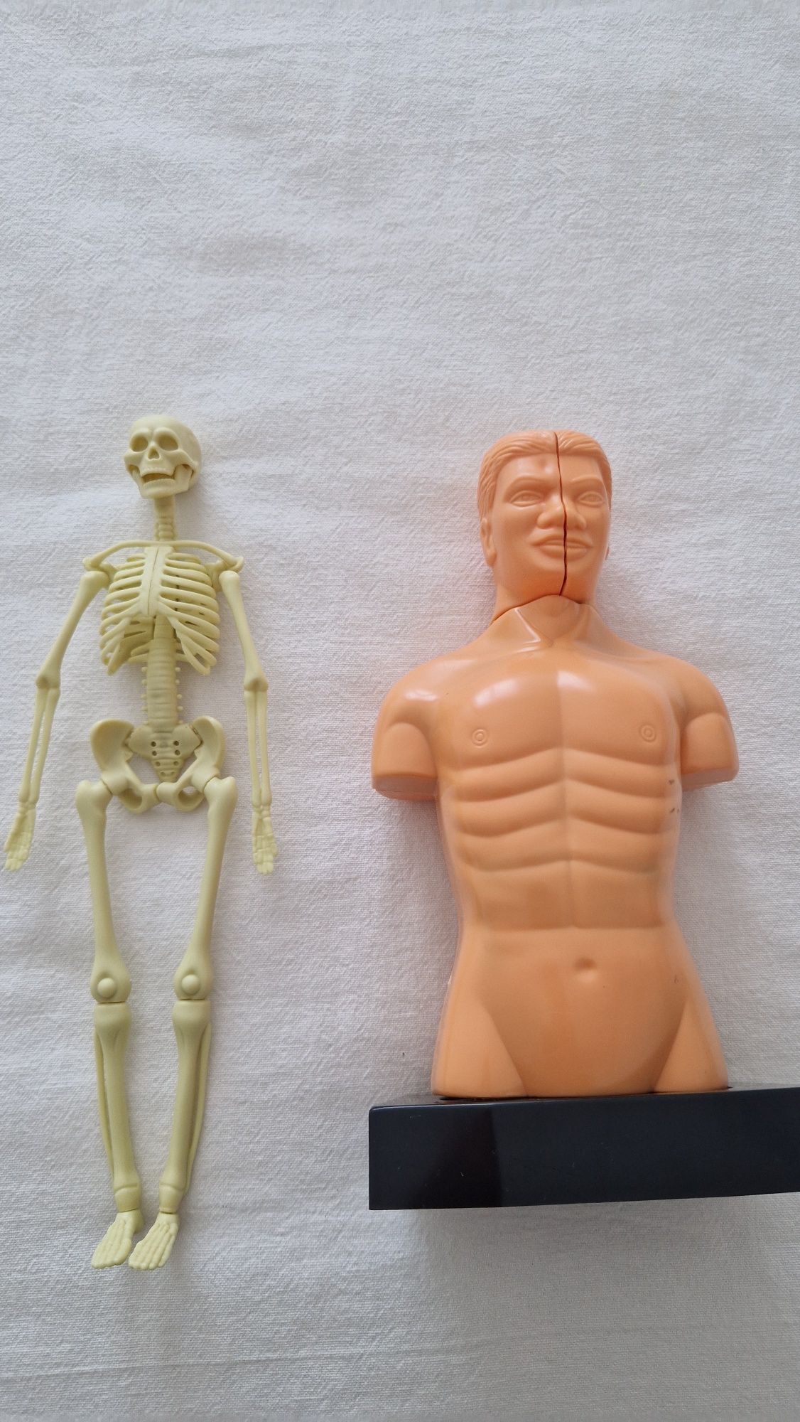 Bonecos corpo humano