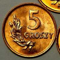 Moneta obiegowa prl 5 gr 1949r