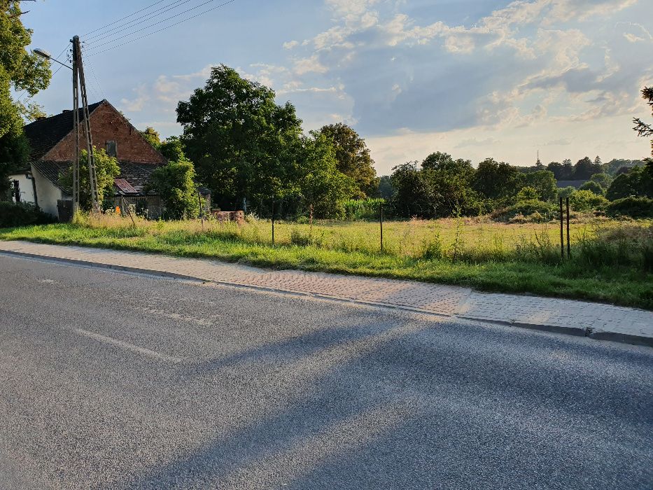 Działka budowlana siedliskowa 4500m2 Gębice k. Mogilna uzbrojona