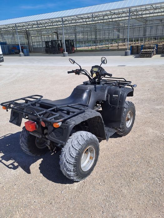 Atv bashan 250.2007. HOMOLOGACJA.Z.Dokumentami. OKAZJA?