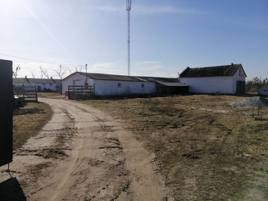 Продам діючий бізнес-вівчарство.