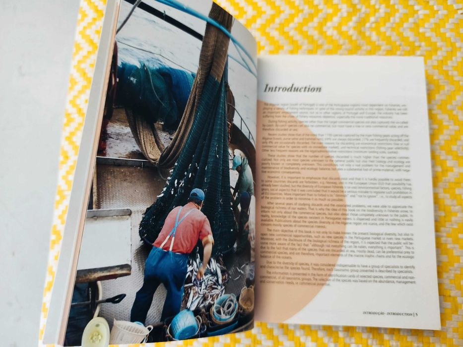 Biodiversidade nas pescas do Algarve – 
Coord. Teresa Silveira Borges