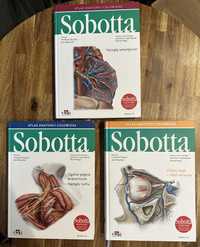 Atlas Anatomii Sobotta 3 tomy angielskie mianownictwo