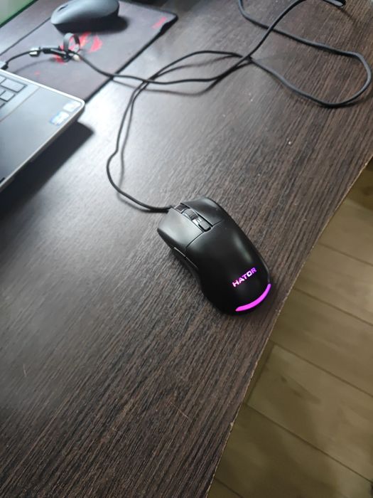 Мишка HATOR продам