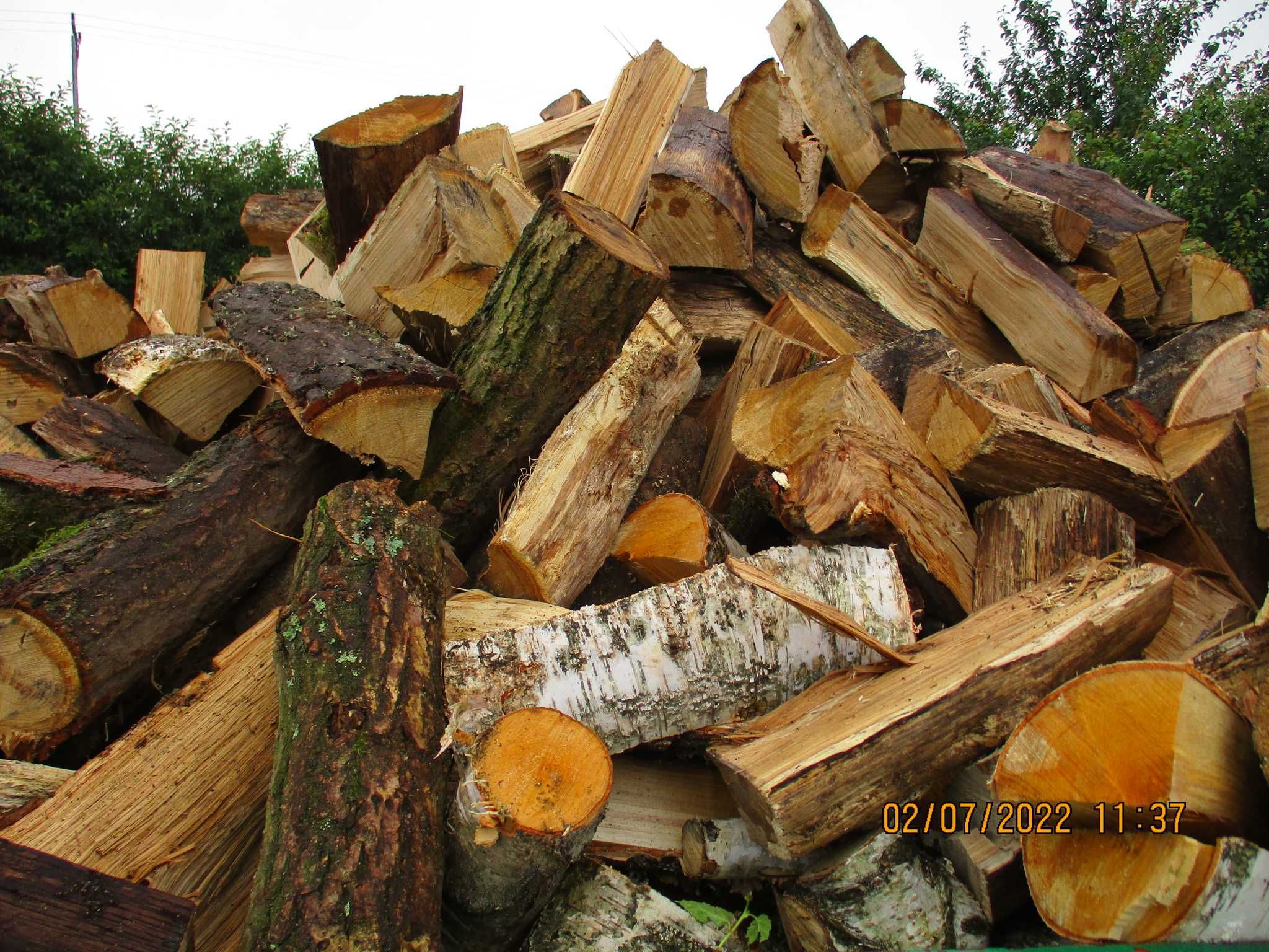 Drewno drzewo kominkowe opałowe sosna dąb brzoza 667x 807 i 713