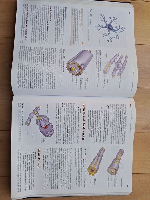 Anatomia & Fisiologia - Seeley, Stephens, Tate