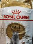 Royal Canin British Shorthair Adult