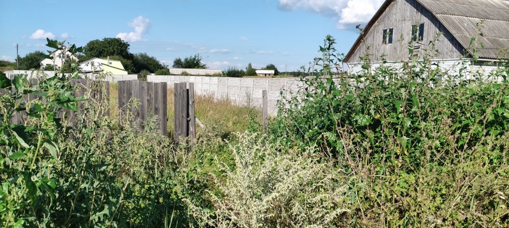 Земельна ділянка Вознесенське